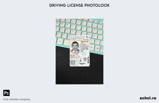 цифровая загрузка водительских прав США, Нью Йорк под шаблоном Photolook FRONT (